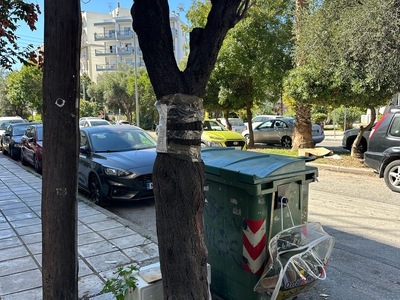 ξεραμενο δεντρο στην καλλιδου  Μητροπολίτη Καλλίδου 109–113,