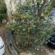 Εξαρτημαματα μηχανοκινητων  Ιεροσολυμων