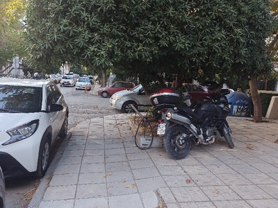 κλάδεμα  Αρτάκης 6