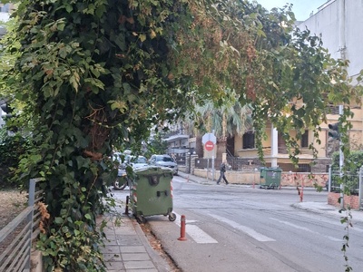 Περοποοιησει  δεντρο δεν φενεται τα φαναρια  Απ παυλου