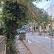 Περοποοιησει  δεντρο δεν φενεται τα φαναρια  Απ παυλου