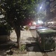 κλαδεμα γιατί χαμηλωσε  Περικλέους 36
