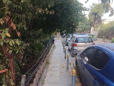 κλάδεμα για έχει χαμηλώσει Παύλου Καρολίδου 26