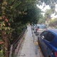 κλάδεμα για έχει χαμηλώσει Παύλου Καρολίδου 26