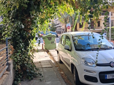 Αμμεσα  	Απ παυλου 6α Περοιποιηση δεντρου