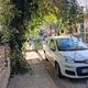 Αμμεσα   Απ παυλου 6α Περοιποιηση δεντρου