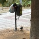 Σκουπίδια στο παρκο  Ιεροσολύμων