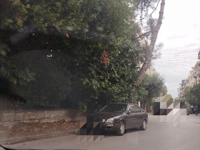ΕΠΙΚΙΝΔΥΝΟ ΠΕΥΚΟ  ΜΕ ΚΛΙΣΗ  ΣΤΗΝ ΟΛΥΜΠΙΑΔΟΣ ΜΕ ΠΟΛΥΒΙΟΥ ΓΩΝΙΑ  ΕΠΕΙΓΟΝ