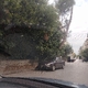 ΕΠΙΚΙΝΔΥΝΟ ΠΕΥΚΟ  ΜΕ ΚΛΙΣΗ  ΣΤΗΝ ΟΛΥΜΠΙΑΔΟΣ ΜΕ ΠΟΛΥΒΙΟΥ ΓΩΝΙΑ  ΕΠΕΙΓΟΝ