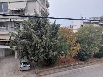 κλαδέματα 	Ισμήνης 15