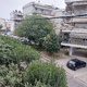 κλαδέματα  Ισμήνης 15