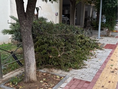 ΠΕΤΑΜΕΝΑ ΚΛΑΔΙΑ ΕΔΩ ΚΑΙ ΜΙΑ ΒΔΟΜΑΔΑ  Ερυθρού Σταυρού 14