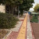 ΠΕΤΑΜΕΝΑ ΚΛΑΔΙΑ ΕΔΩ ΚΑΙ ΜΙΑ ΒΔΟΜΑΔΑ  Ερυθρού Σταυρού 14