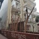 Καρατόμηση δέντρων .στο πάρκο Σηφάκη