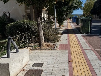 ΚΛΑΔΙΑ ΚΟΜΜΕΝΑ ΠΕΤΑΜΕΝΑ ΣΤΟ ΠΕΖΟΔΡΟΜΙΟ Ερυθρού Σταυρού