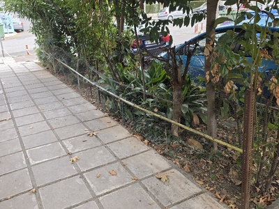 βελτίωση φυλλωσιας  Καθηγητού Ρωσσίδου 46