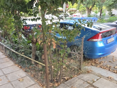 βελτίωση φυλλωσιας  Καθηγητού Ρωσσίδου 46