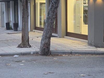 επικίνδυνο δέντρο  Κορυτσας με Ανδριανουπόλεως