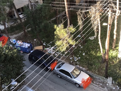 Καθαρισμός πευκοφυτου χώρου επι της οδού Σωκράτους (διασταύρωση με οδό Διός).