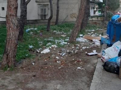 Σκουπίδια σε πάρκο και χύμα διπλα σε κάδους