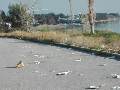 Μόλυνση του περιβάλλοντος