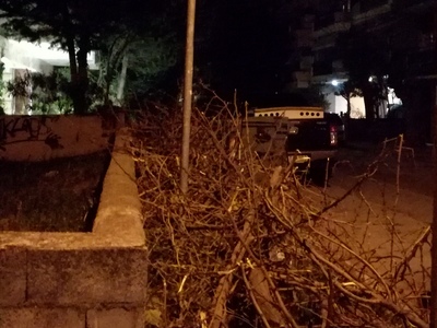 Αποκομιδή κλαδιών
