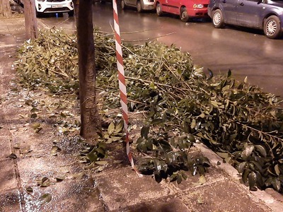 ΑΠΟΚΟΜΙΔΗ ΚΛΑΔΙΩΝ