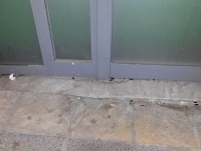 Απεντόμωση στη Πασαλίδη (Αρβανιτίδης) Mαύρες κατσαρίδες παντού