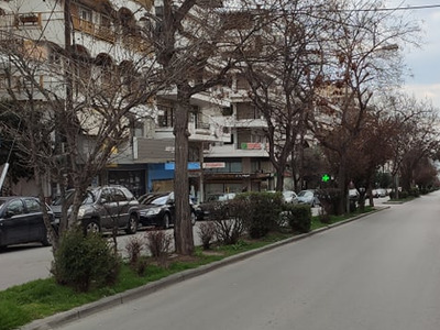 Κλάδεμα δέντρων