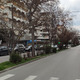 Κλάδεμα δέντρων