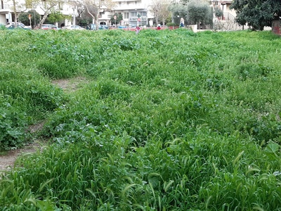ΚΟΠΗ ΧΟΡΤΑΡΙΩΝ 