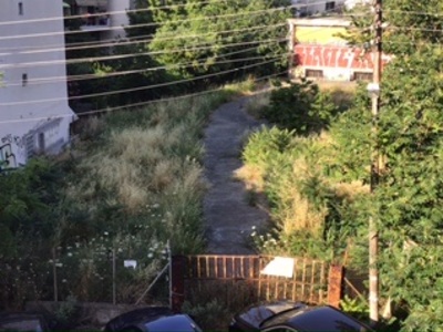 Καθαρισμός αυλής και πεζοδρομίου από χόρτα στο παλιό εργοστάσιο της Χειμωνιδου