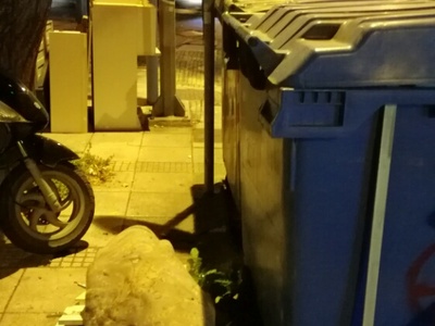 Αποκομιδή ογκωδών