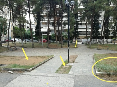 Φύτευση & καλλωπισμός πάρκου