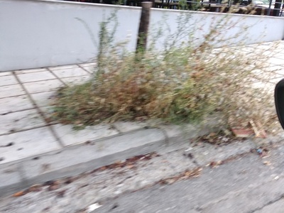 Το χάλι μας το μαύρο