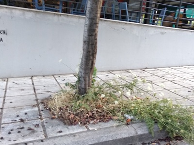 Το χάλι μας το μαύρο