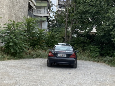 Ξερά χόρτα και δέντρα 