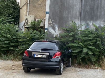 Δέντρα και θάμνοι 