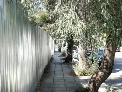 Κλάδεμα δέντρων