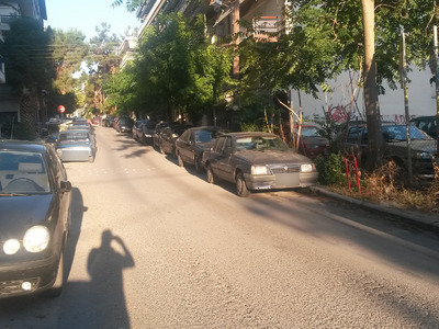 Κομμένο μεγάλο κλαδί δίπλα απο κάδους