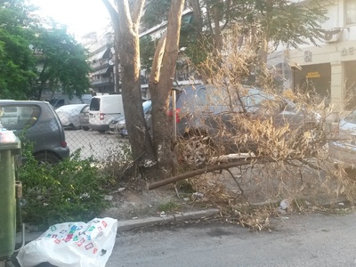Κομμένο μεγάλο κλαδί δίπλα απο κάδους