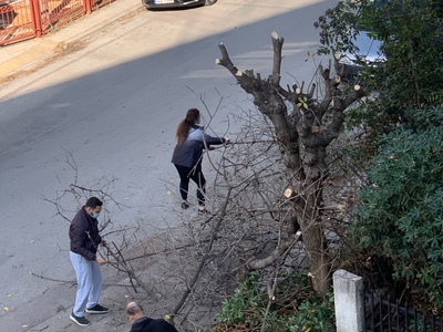 Αποκομιδή κλαδιών