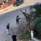 Αποκομιδή κλαδιών