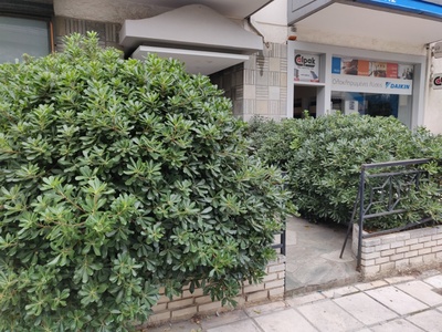 Κλάδεμα αγγελικών σε είσοδο