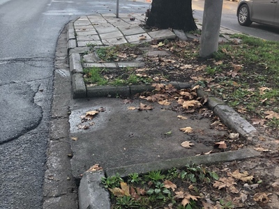 Χωρις Σχολιο