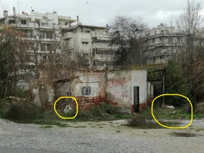 Καθαρισμός περιοχής - αποκομιδή κλαδιών
