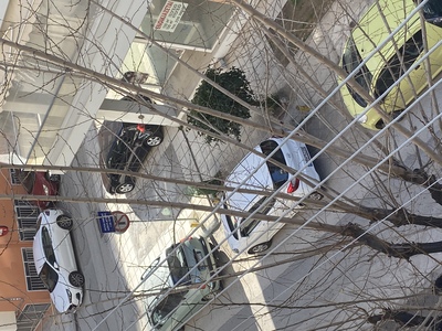 Κλάδεμα δεντρου