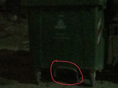 ΚΑΔΟΣ ΜΕ ΧΑΛΑΣΜΕΝΟ ΠΟΔΟΠΕΤΑΛ