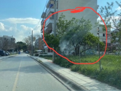 Κόψιμο αμυγδαλιάς Που βρίσκεται στην δεξιά πλευρά του δρόμου
