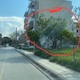 Κόψιμο αμυγδαλιάς Που βρίσκεται στην δεξιά πλευρά του δρόμου